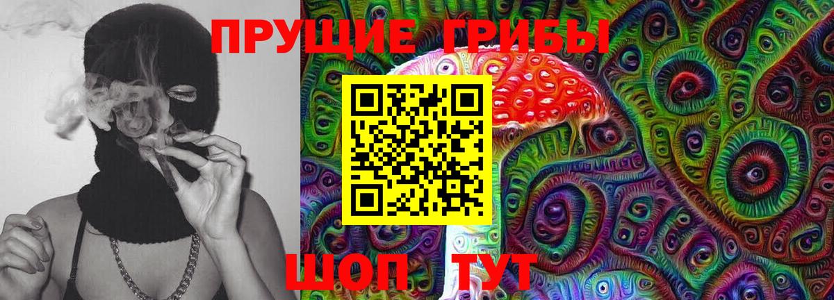 Галлюциногенные грибы мицелий  Псилоцибиновые грибы MAGIC MUSHROOMS  Вход с VPN  Владимир 
